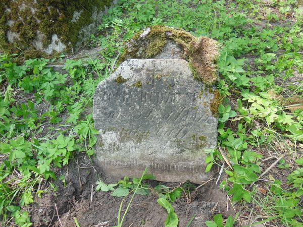 Tombstone of Zofia Rudzinska, Na Rossie cemetery in Vilnius, as of 2013