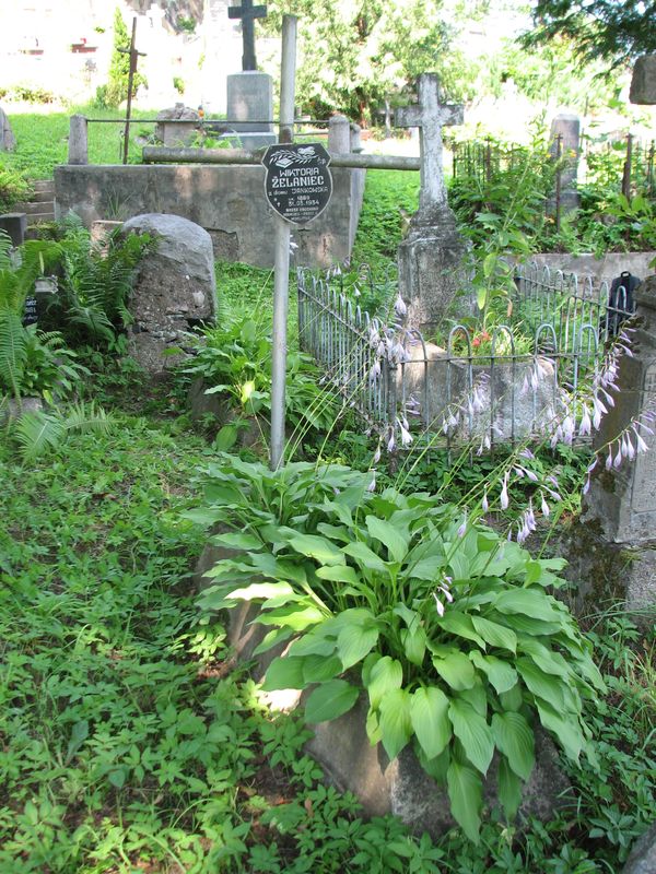 Tombstone of Wiktoria Żelaniec, Ross cemetery, state of 2013