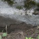 Альтернативний текст фотографії