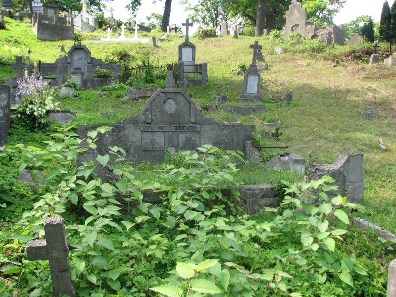 Tomb of the Stefanovichs and the Vishnevskys, Ross Cemetery in Vilnius, as of 2013.