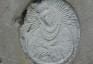Photo montrant Tomb of the Stefanowicz and Vishnevskys