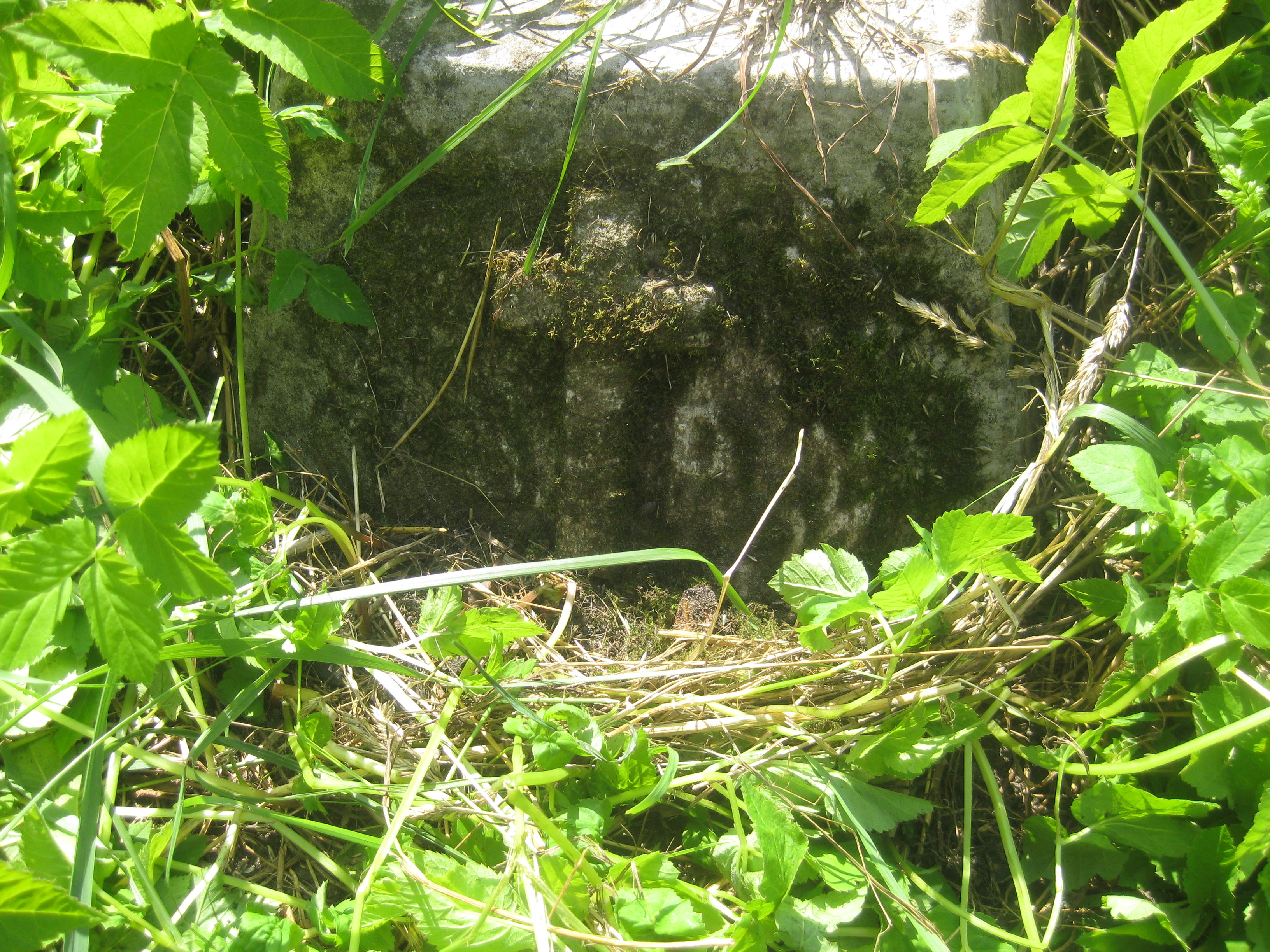 Nagrobek N.N., cmentarz Na Rossie w Wilnie, stan z 2013 r.