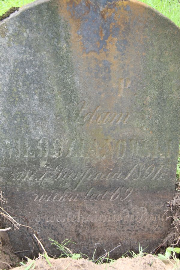 Fragment nagrobka Adama Młodzianowskiego z cmentarza na Rossie w Wilnie, stan z 2013 r.