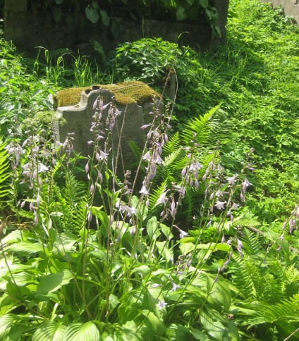 Nagrobek Karola Dranowicza, cmentarz Na Rossie w Wilnie, stan z 2013 r.