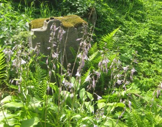 Nagrobek Karola Dranowicza, cmentarz Na Rossie w Wilnie, stan z 2013 r.