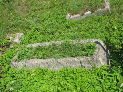 Nagrobek Aleksandry Zyckiej, cmentarz na Rossie w Wilnie, stan na 2013 r.