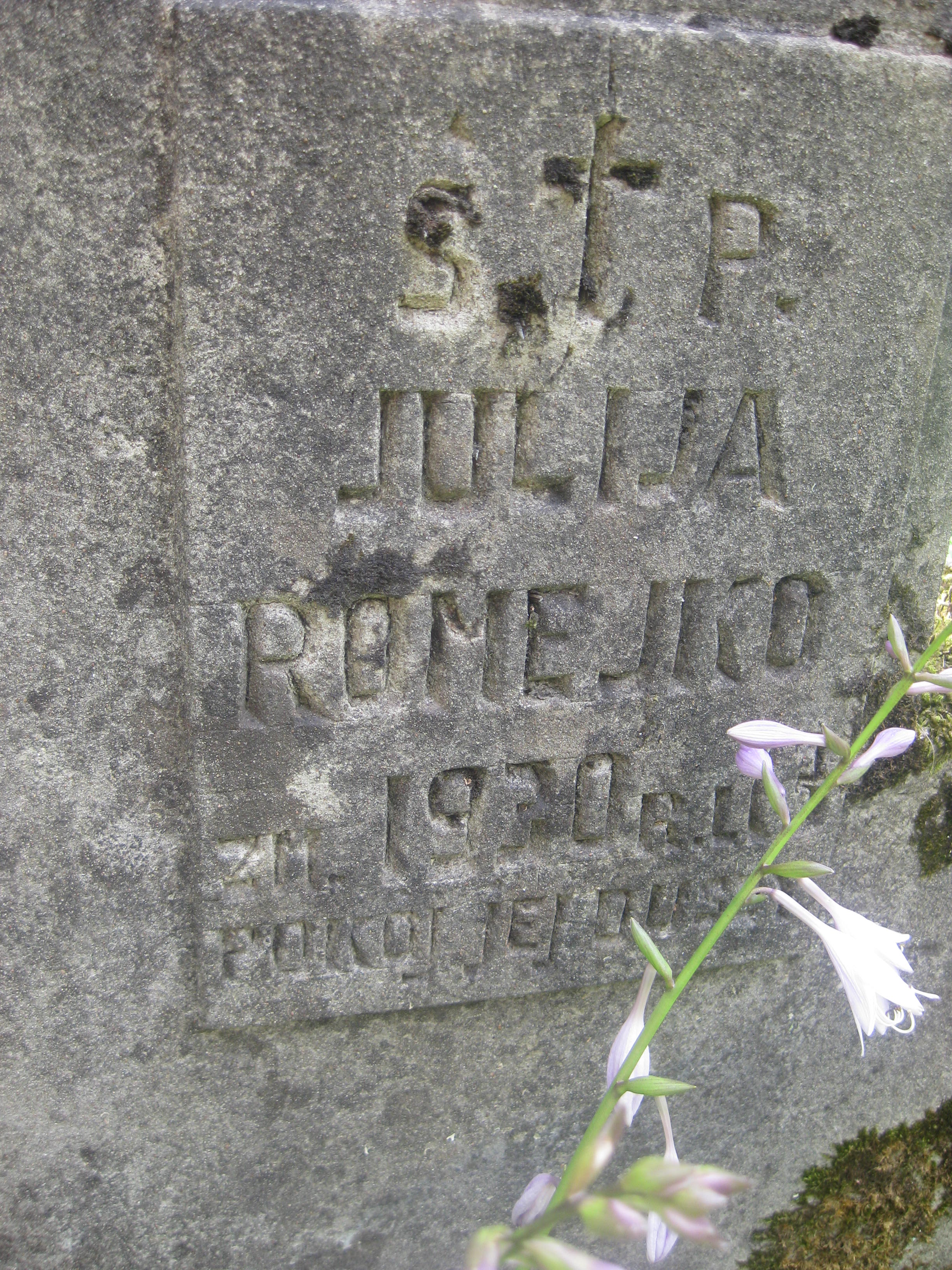Fragment of the tomb of Adam and Julia Romejko, Na Rossie cemetery in Vilnius, as of 2013.