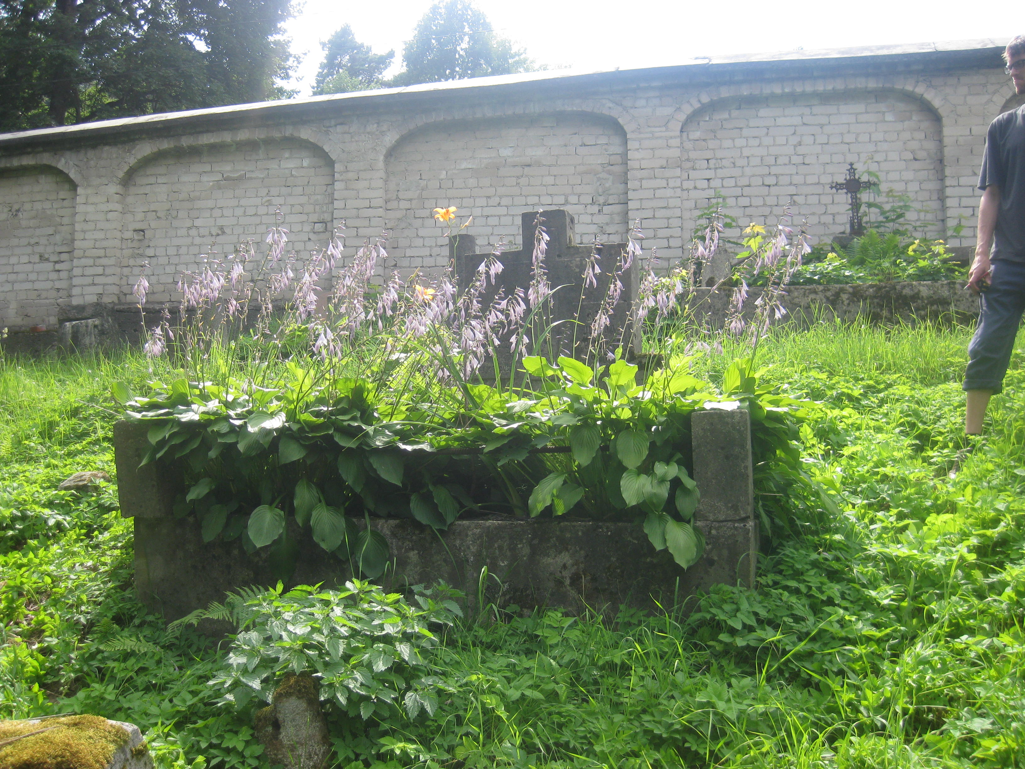 Grobowiec Adama i Julii Romejków, cmentarz Na Rossie w Wilnie, stan z 2013 r.