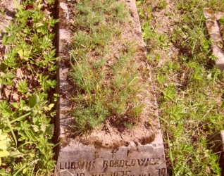 Nagrobek Ludwika Rosołowicza, cmentarz na Rossie w Wilnie, stan na 2013 r.