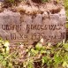 Fotografia przedstawiająca Nagrobek Ludwika Rosołowicza