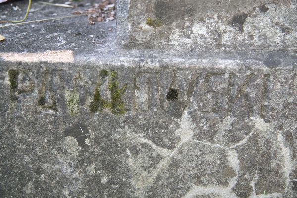 Fragment nagrobka Dominika i Szymona Zielonko z cmentarza na Rossie w Wilnie, stan z 2013 r.