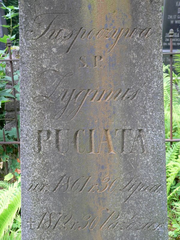 Fragment nagrobka Zygmunta Puciaty, cmentarz Na Rossie w Wilnie, stan z 2013 r.