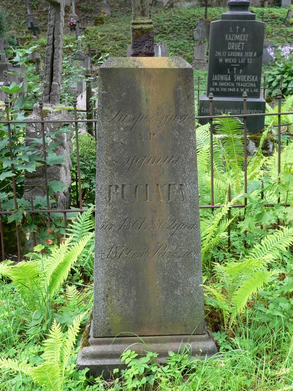 Nagrobek Zygmunta Puciaty, cmentarz Na Rossie w Wilnie, stan z 2013 r.