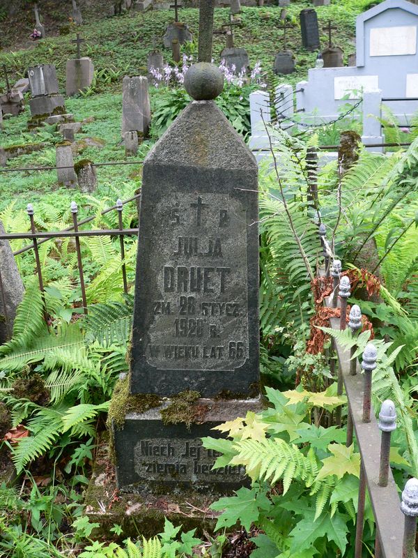 Nagrobek Julii Druet, cmentarz Na Rossie w Wilnie, stan z  2013 r.