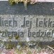 Fotografia przedstawiająca Gravestone of Julia Druet