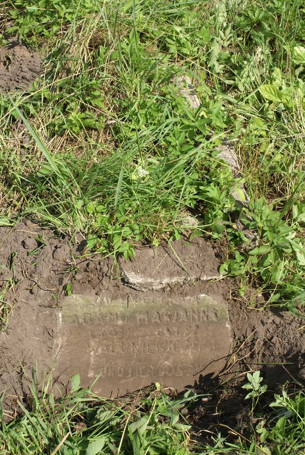 Tombstone of Adam and Maria Walukiewicz, Rossa cemetery, Vilnius, 2015