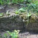 Альтернативний текст фотографії