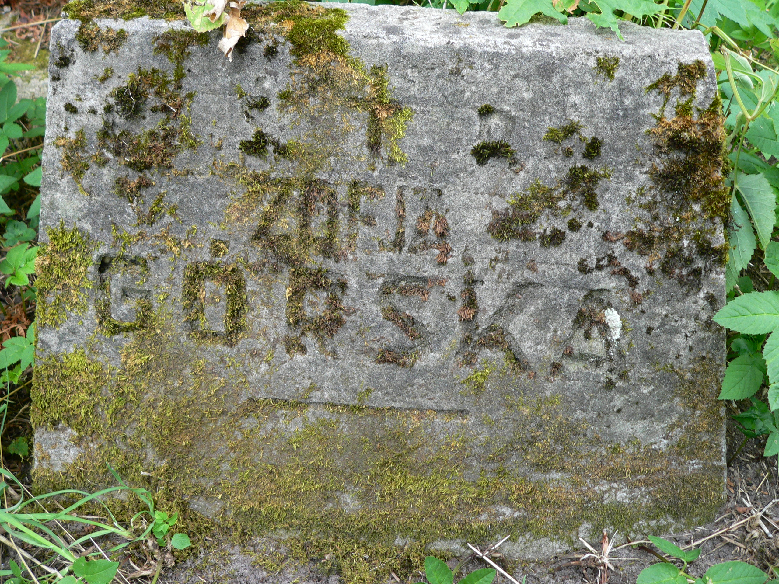 Fragment of the tombstone of Zofia Gorska, Na Rossie cemetery in Vilnius, as of 2013.