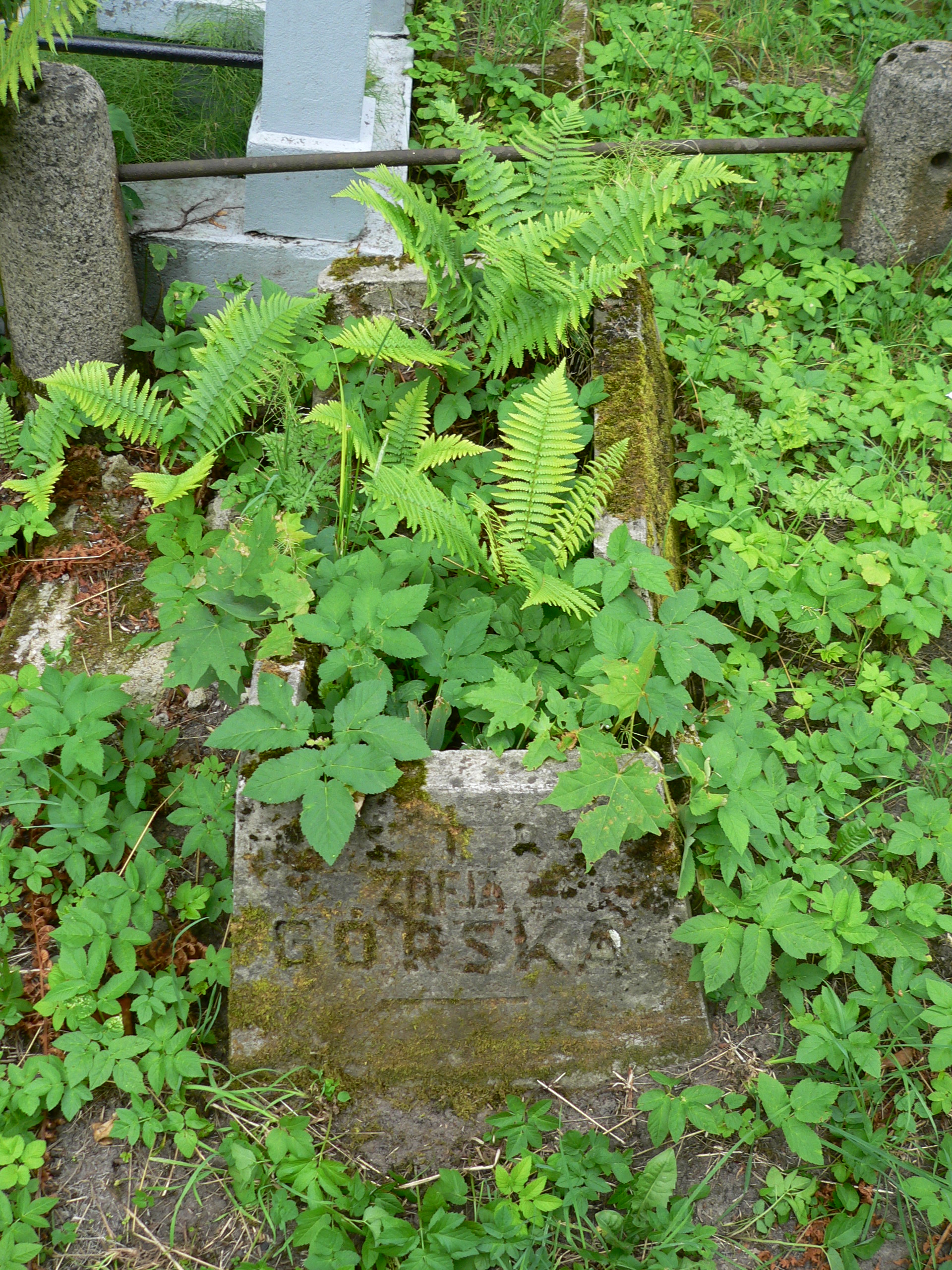 Nagrobek Zofii Górskiej, cmentarz Na Rossie w Wilnie, stan z 2013 r.