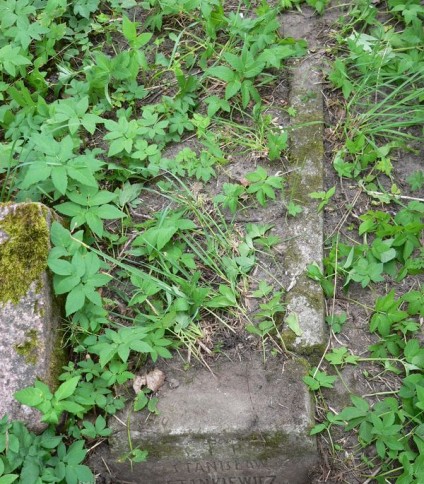 Nagrobek Stanisława Stankiewicza, cmentarz Na Rossie w Wilnie, stan z 2013 r.
