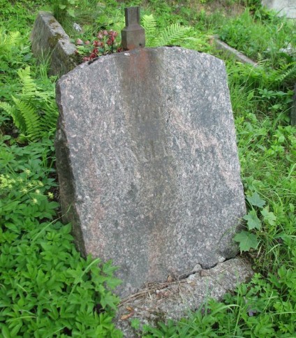 Nagrobek Józefa i Wiktorii Danilewicz, cmentarz na Rossie, stan z 2013 roku