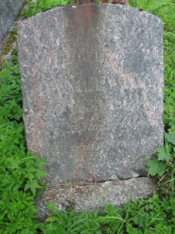 Tombstone of Jozef and Viktoria Danilewicz, Ross cemetery, state of 2013
