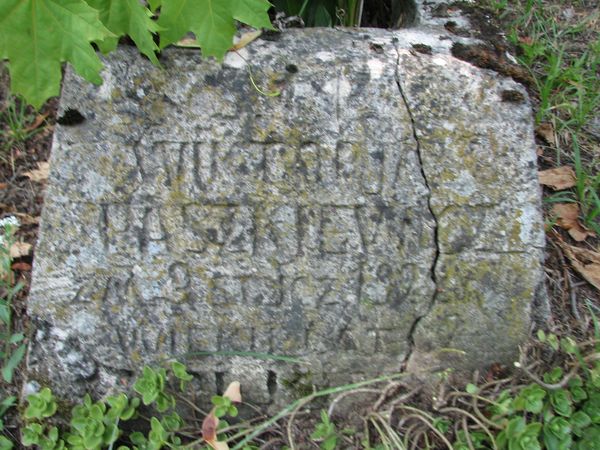 Fragment of the gravestone of Wiktoria Paszkiewicz, Ross cemetery, state of 2013