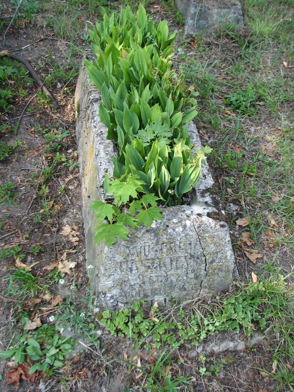 Tombstone of Viktoria Paszkiewicz, Ross cemetery, state of 2013