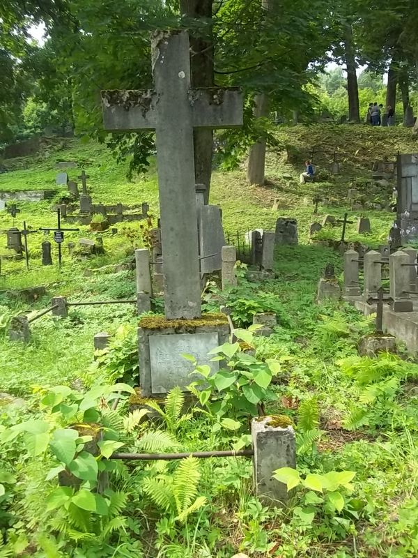 Nagrobek Cezarego Budnickiego-Sipayłło, cmentarz Na Rossie w Wilnie, stan z 2013