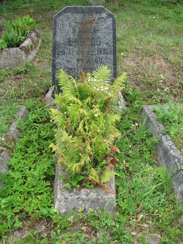 Tombstone of Kamila Ladygo, Ross cemetery, state of 2013