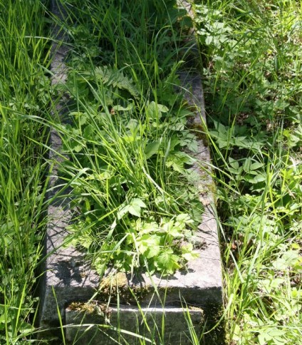 Nagrobek Leona Tarajkowicza z cmentarza na Rossie w Wilnie, stan z 2013 r.