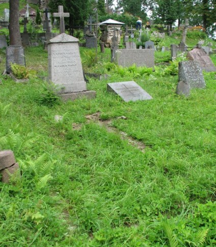 Nagrobek rodziny Hryniewicz i Wasilewskich, cmentarz na Rossie, stan z 2013 roku