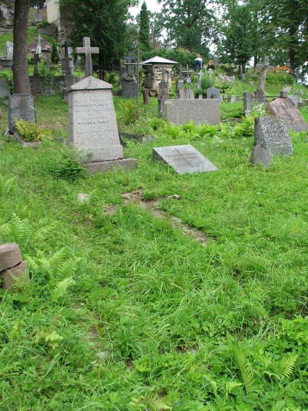 Tombstone of the Hrynevich and Vasilevskiy families, Ross cemetery, as of 2013