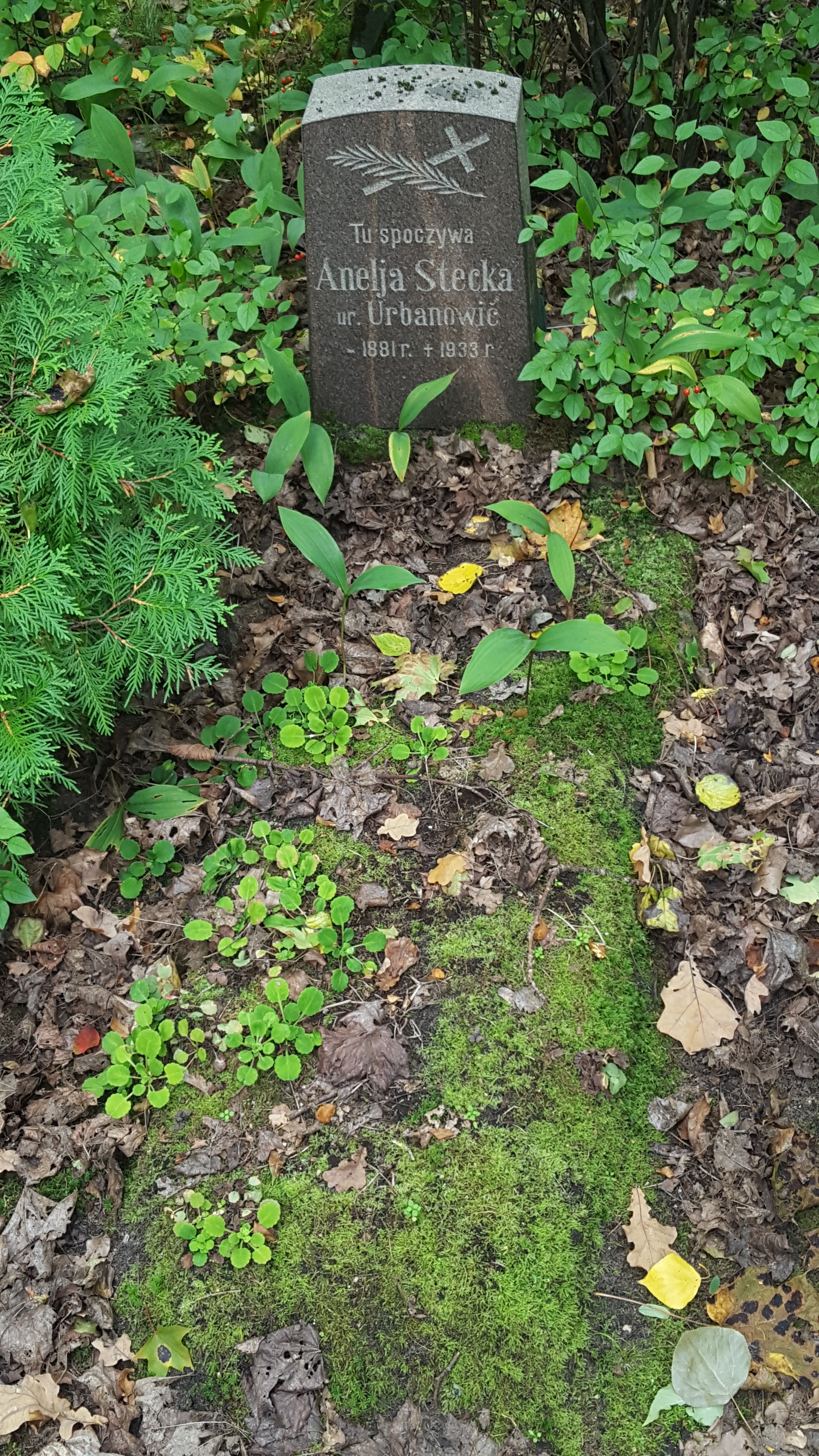 Tombstone of Anelia Stecka (Aniela Stecka), St Michael's cemetery in Riga, as of 2021.