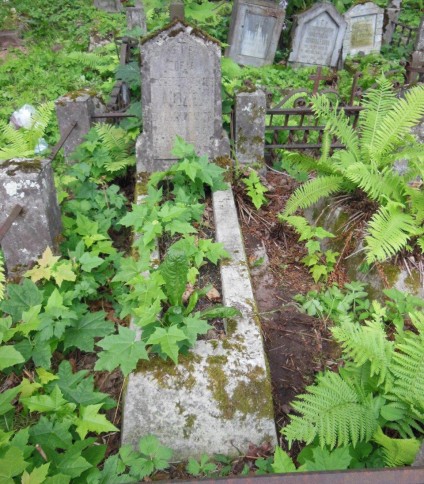 Nagrobek Zofii Audziej, cmentarz Na Rossie w Wilnie, stan z 2013