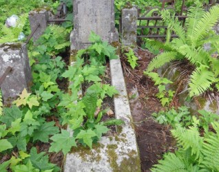 Nagrobek Zofii Audziej, cmentarz Na Rossie w Wilnie, stan z 2013