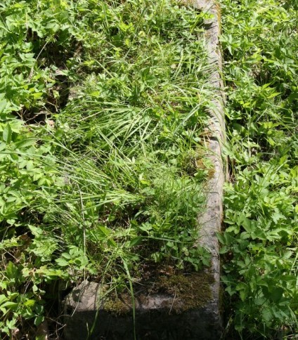 Nagrobek Krystyny Budzińskiej z cmentarza na Rossie w Wilnie, stan z 2013 r.