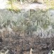 Photo montrant Gravestone of Krystyna Budzińska