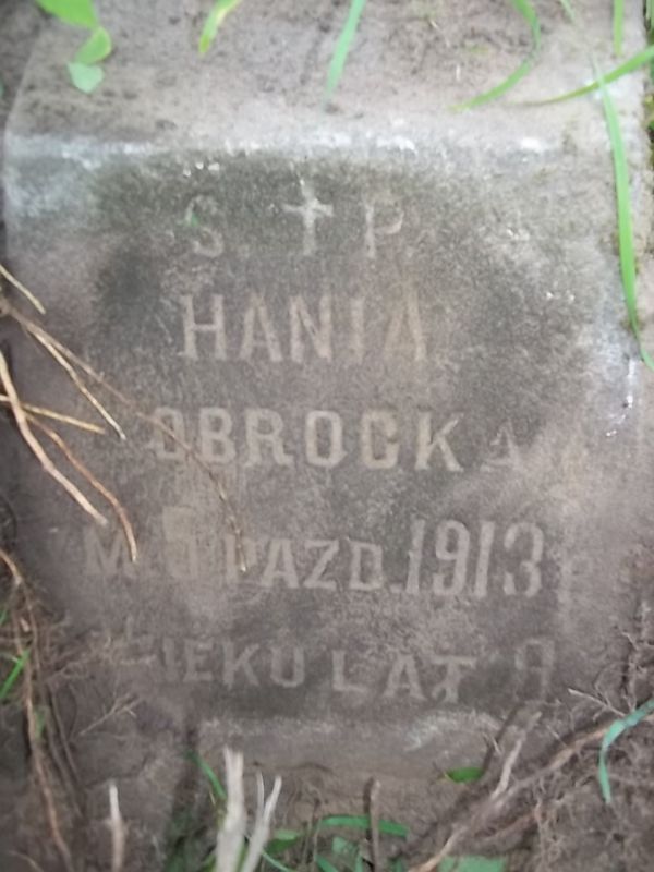 Inskrypcja nagrobka Hanny Obrockiej, cmentarz Na Rossie w Wilnie, stan z 2013