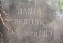 Fotografia przedstawiająca Nagrobek Hanny Obrockiej