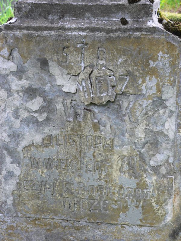 Fragment of Kazimierz Towcik's tombstone, Na Rossie cemetery in Vilnius, as of 2013.