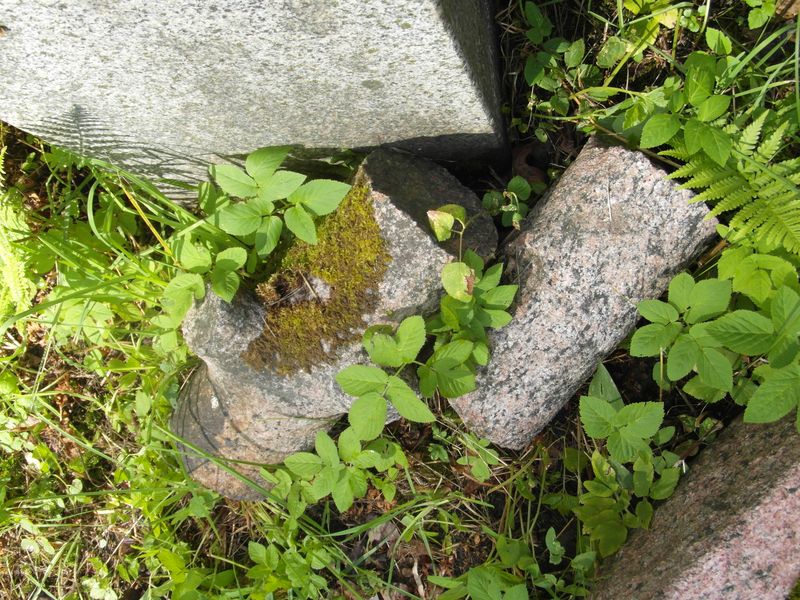 Fragment nagrobka Julii Żeromskiej, cmentarz na Rossie w Wilnie, stan z 2014