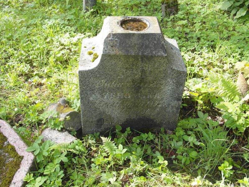 Nagrobek Julii Żeromskiej, cmentarz na Rossie w Wilnie, stan z 2014