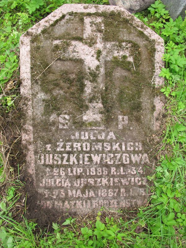 Tombstone of Julia and Julia Yushkevich, Rossa cemetery in Vilnius, state 2014