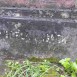 Fotografia przedstawiająca Tombstone of Marcela and Wincenty Lagucki