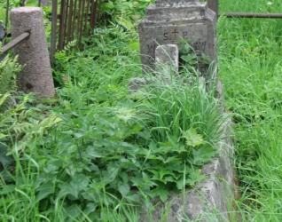 Nagrobek Władysława Seleniewicza, cmentarz na Rossie, stan z 2013 roku