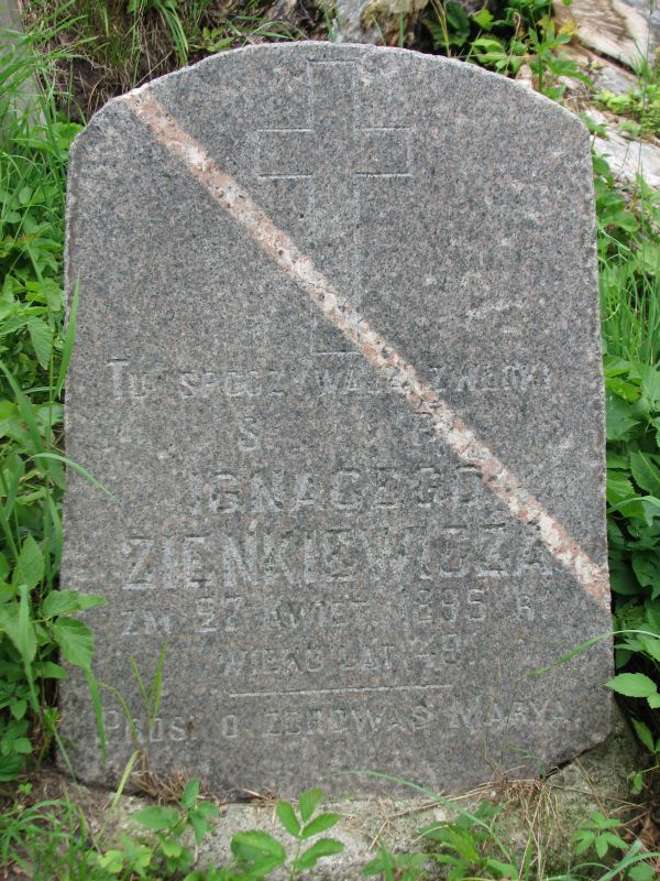 Nagrobek Ignacego Zienkowicza, cmentarz na Rossie, stan z 2013 roku
