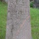 Photo montrant Tombstone of Benigna Moszyńska