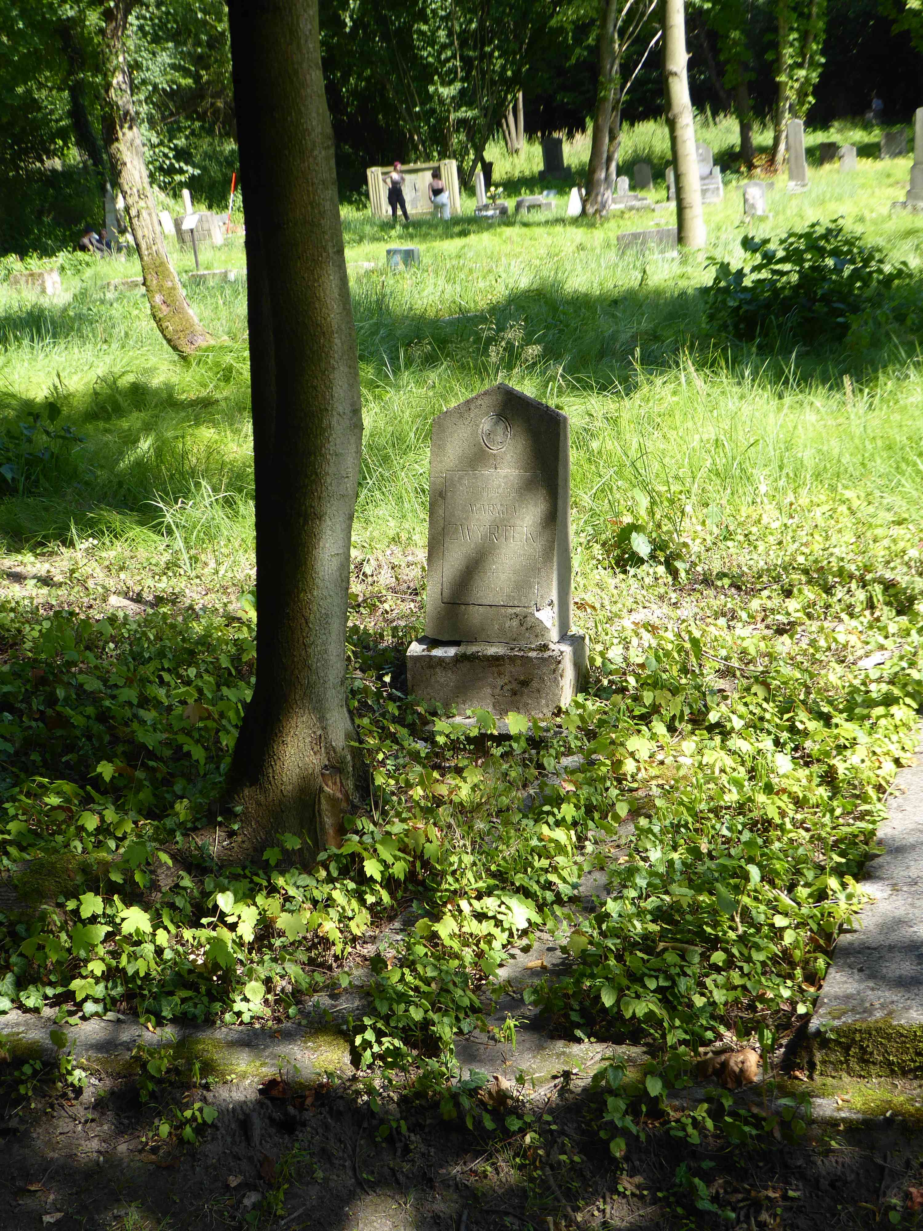 Fotografia przedstawiająca Tombstone of Maria Zwyrtek