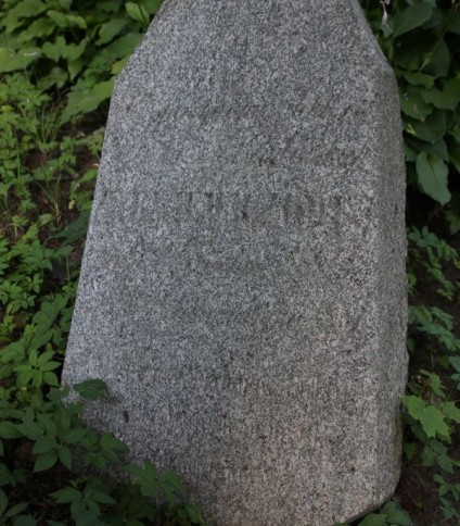 Nagrobek Doroty Narkiewicz, cmentarz Na Rossie w Wilnie, stan z 2013